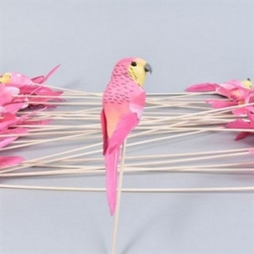 Papegøje pink på pind