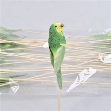 Papegøje på pind grøn