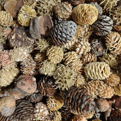 Sampak med blandede kogler 200 stk.