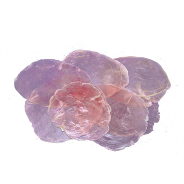 Capiz-skaller rosa 5-10 cm pr. sæt.