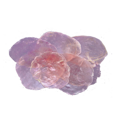 Capiz-skaller rosa 5-10 cm pr. sæt.