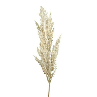 Pampasgræs 81 cm cremefarvet