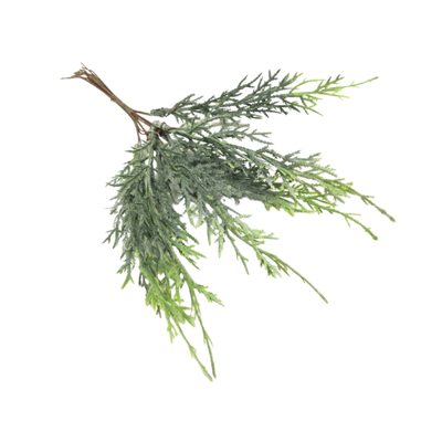 Cypress med hvid effekt