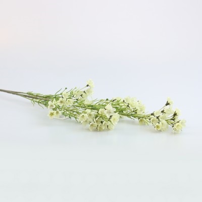 Voksblomster hvid 68 cm