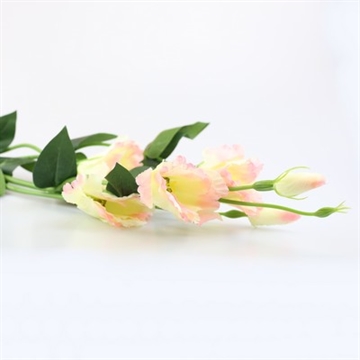 Lisianthus cream pink 82 cm