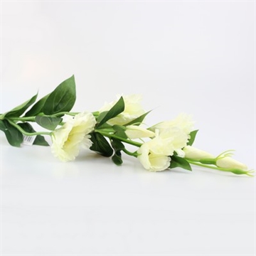 Lisianthus hvid 82 cm