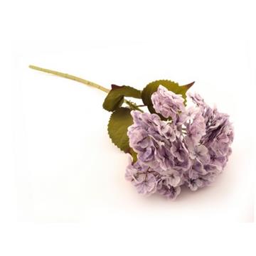 Hortensia lilla 80 cm