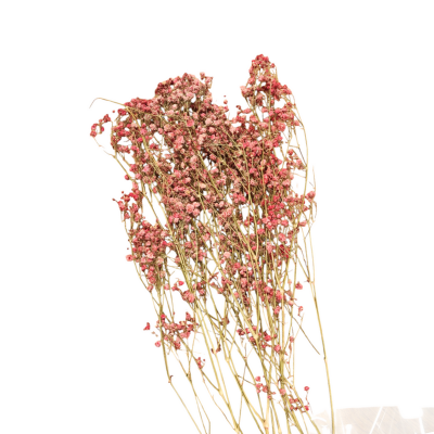 Brudeslør tørret 50 g pink 50 cm