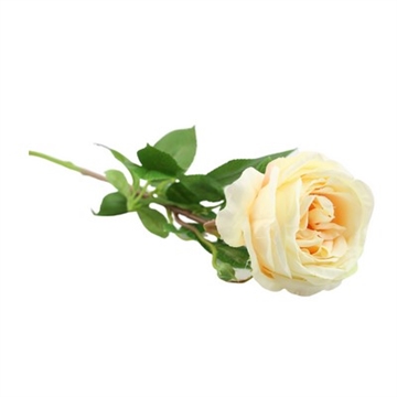 Rose hvid 63 cm