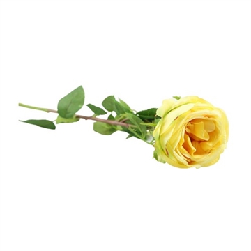 Rose gul 63 cm