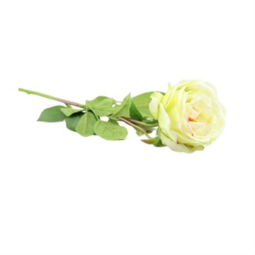 Silkerose creme 63 cm
